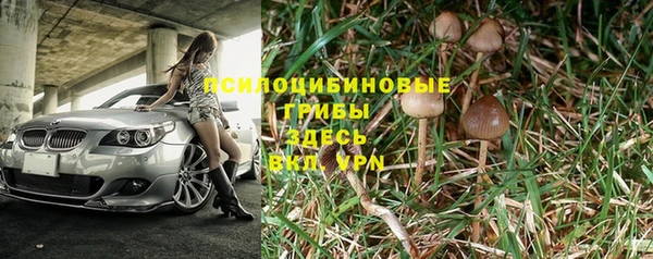 a pvp Горнозаводск