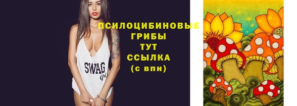 первитин Гусь-Хрустальный