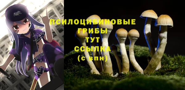 гашиш Гусиноозёрск