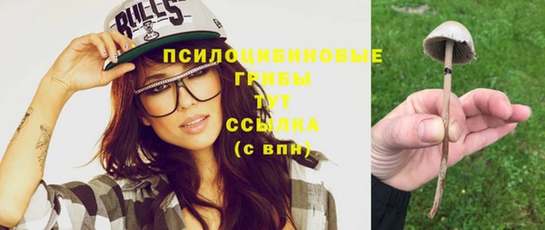 a pvp Горнозаводск