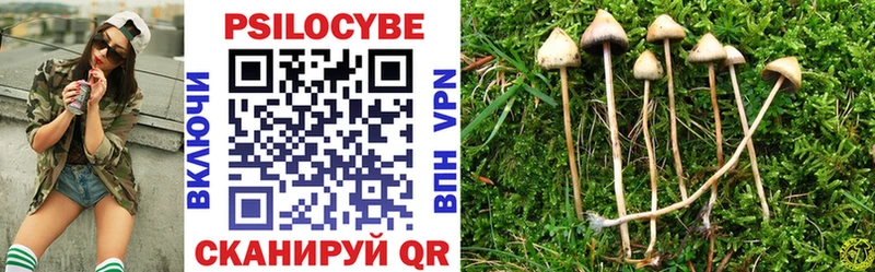 Галлюциногенные грибы Psilocybine cubensis  Купить закладки  Козельск 